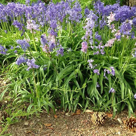 Greenfield D'hotes 4* Neufchâtel-Hardelot