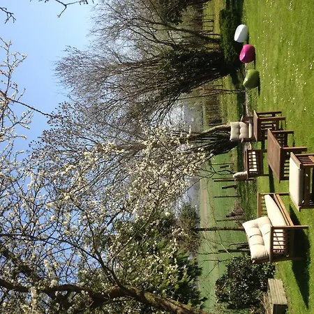 Greenfield D'hotes 4*