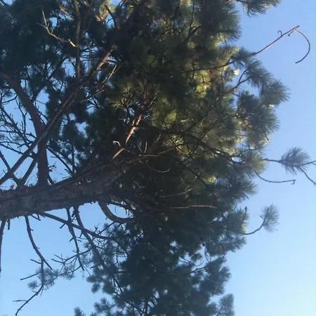 Greenfield D'hotes 4* Neufchâtel-Hardelot