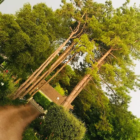 Greenfield D'hôtes Neufchâtel-Hardelot