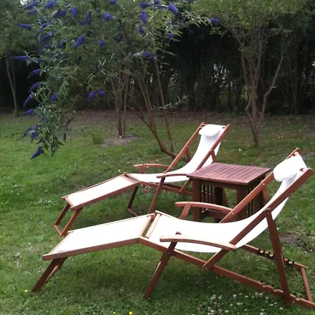Couette-café Greenfield D'hôtes Neufchâtel-Hardelot