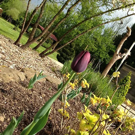 Greenfield D'hôtes 4*