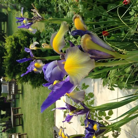 Greenfield D'hôtes 4* Neufchâtel-Hardelot