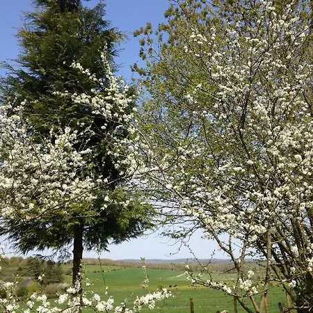 Greenfield D'hôtes Neufchâtel-Hardelot