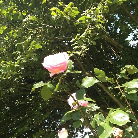 Greenfield D'hôtes Neufchâtel-Hardelot