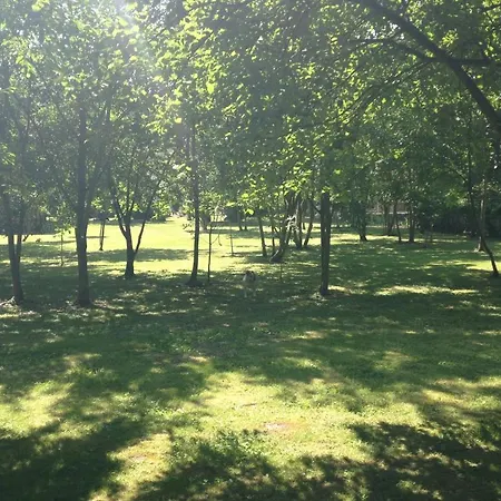 Alojamento de Acomodação e Pequeno-almoço Greenfield D'hôtes 4*