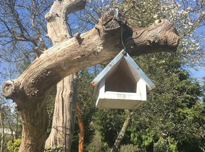 Bed & Breakfast Greenfield D'hôtes